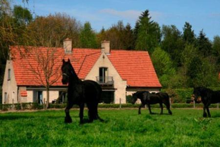 Hertsberge B&B Heerlijkhyd المظهر الخارجي الصورة